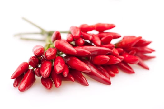 Fresh Red Chilli Peppers on White Background