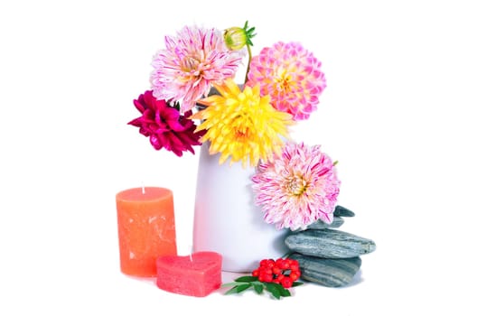 colorful autumn flowers dahlias