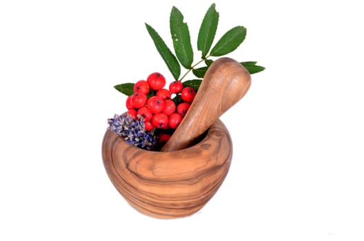 Wellness Herbal Mortar Purple