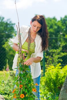 Summer gardening young woman cutting flower on beautiful sunny day
