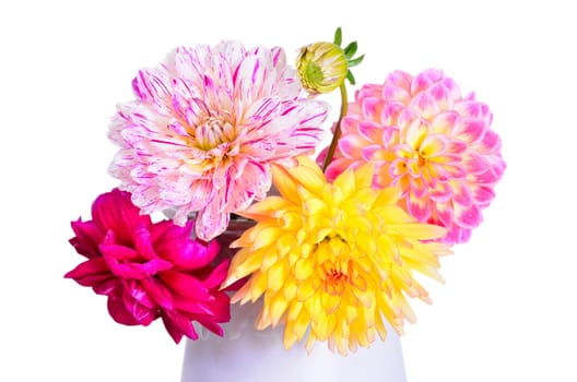 colorful autumn flowers dahlias