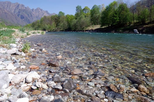 summer river landscape , Toce River, Italy