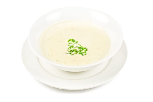 cream of mushroom isolated on a white background