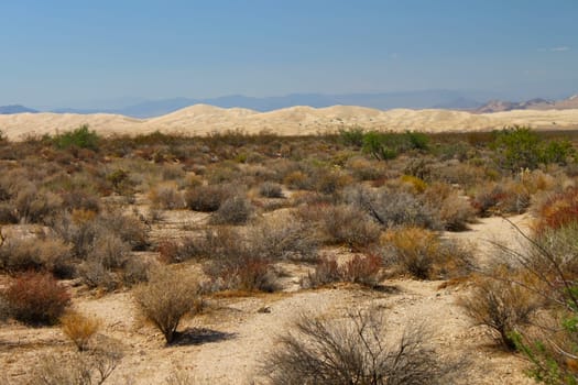View of the Kelso Dunes at Mojave National Preserve of California.