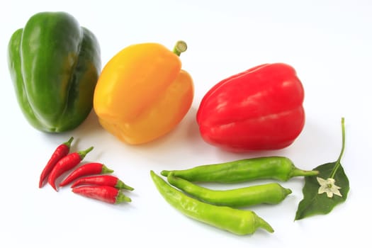 Different colored peppers isolated against neutral background
