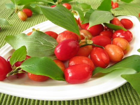 Cornelian cherries