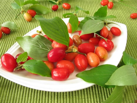 Cornelian cherries