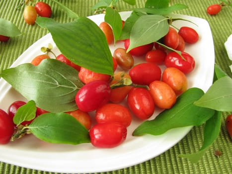 Cornelian cherries
