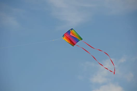 Kite