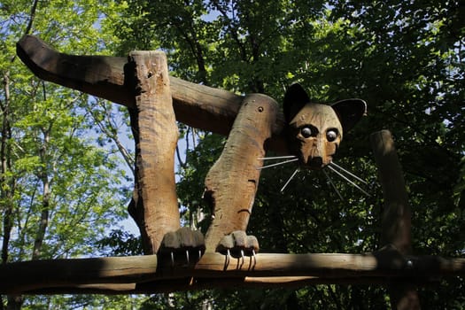 Treetop Walk in Hainich National Park