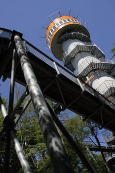 Treetop Walk in Hainich National Park