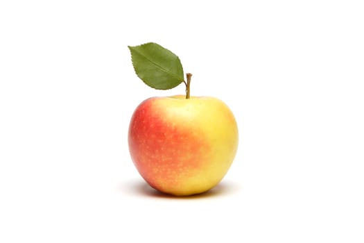 Apples without (New York)