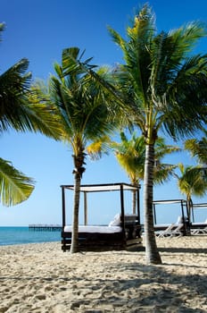 Image of a beautiful beach scene, featuring cabana beds, palm trees, beach, ocean and blue sky