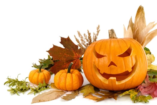 Studio shot of Halloween pumpkins and autumn leaves arranged on white background
