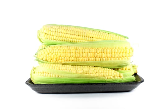 Corn cob sweetcorn ready for cooking isolated on white