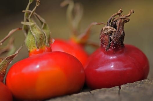 Haws