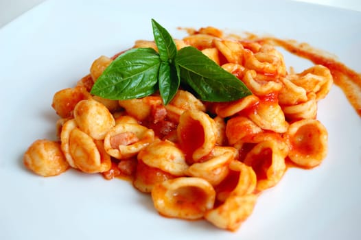 Orecchiette Pasta with Tomato sauce and basil , typical Italian pasta