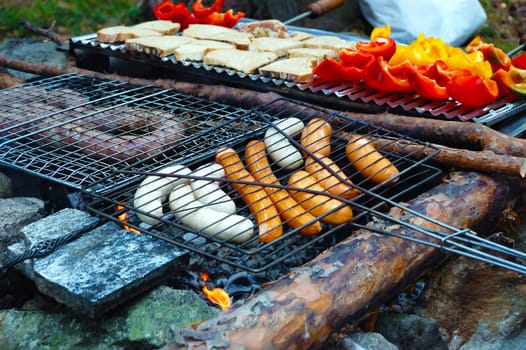 summer campfire grilling outdoor, pepper, meat, wurstel
