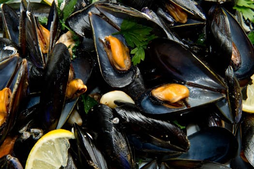pile of cooked mussels  over white background