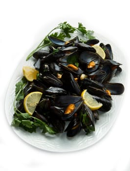 pile of cooked mussels  over white background