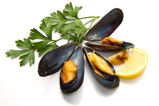 pile of cooked mussels  over white background
