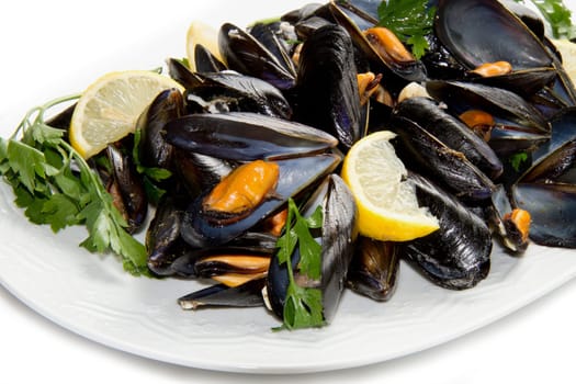 pile of cooked mussels  over white background