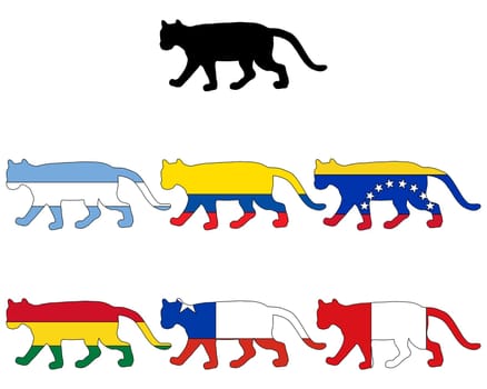 Puma Flags