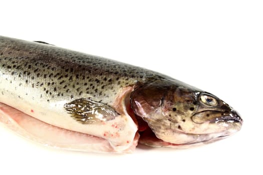 a raw trout against a white background