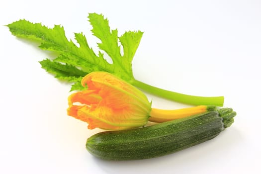 Zucchini with flower and leaf,cut out