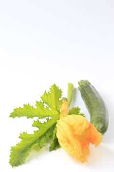 Zucchini with flower and leaf,cut out