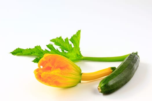 Zucchini with flower and leaf,cut out