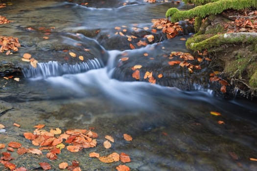 Autumn brook with mini waterfalls flowing in Otzarreta Forest, Bizkaia, Spain