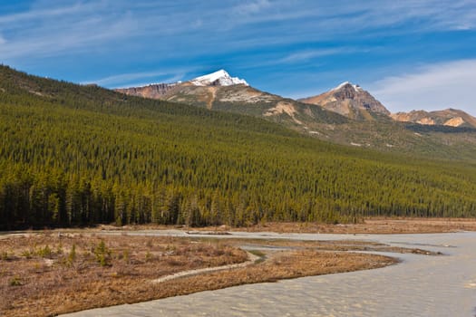 Athabasca River, Jasper National Park, Alberta, Canada