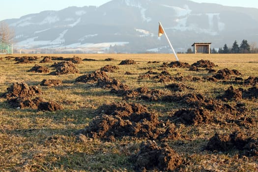 A football pitch with a forced break