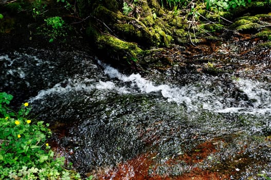 Detail of a torrent in spring