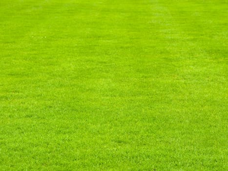 Perfectly mowed lawn in spring