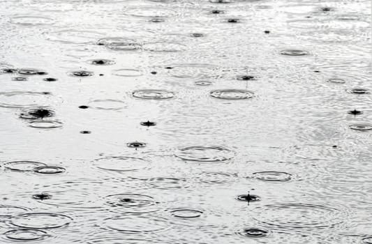 Rain drops on the water surface