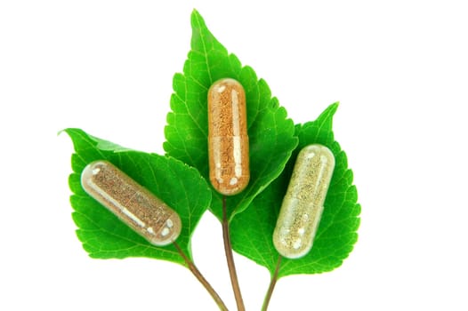 herbal capsules on sage leaves