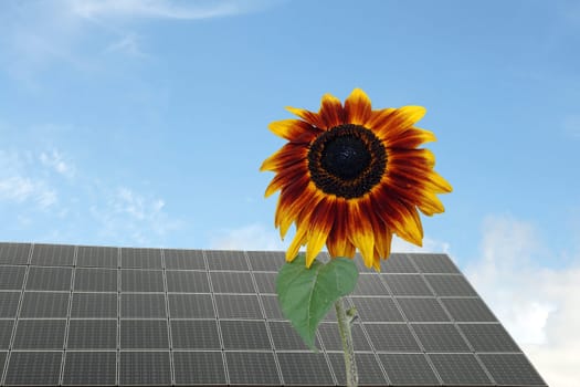 Energy from solar technology is very environmentally conscious