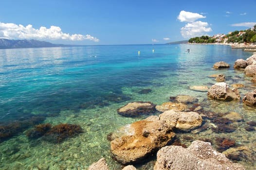 dalmatian rocky beach