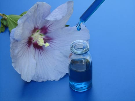 Bach Flower Therapy