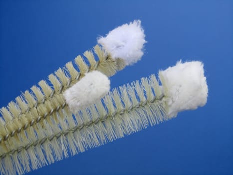 Bottle brushes