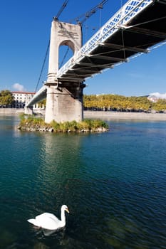 Footbridge and swan on Rhone river in Lyon city