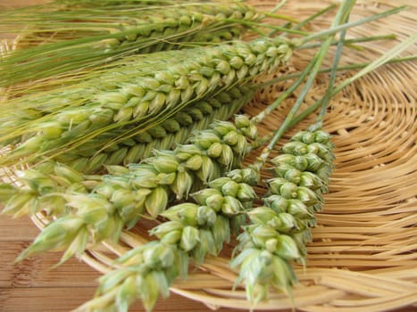 Rye,barley and wheat in a basket