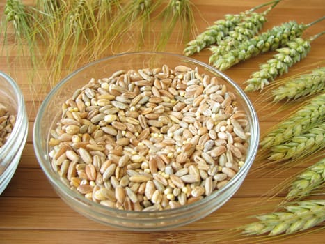 Cereal grains and ears of grain