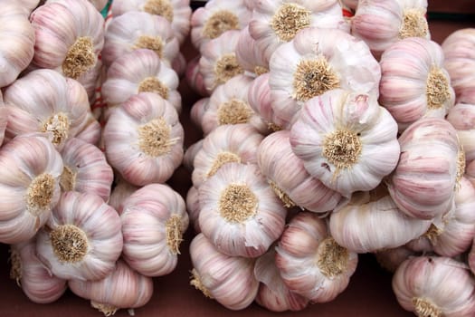 details of garlics on market stall