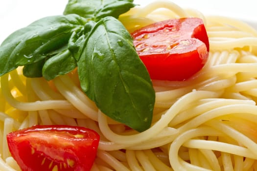 spaghetti with fresh tomatoes  and basil