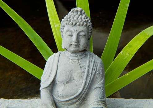 buddha
