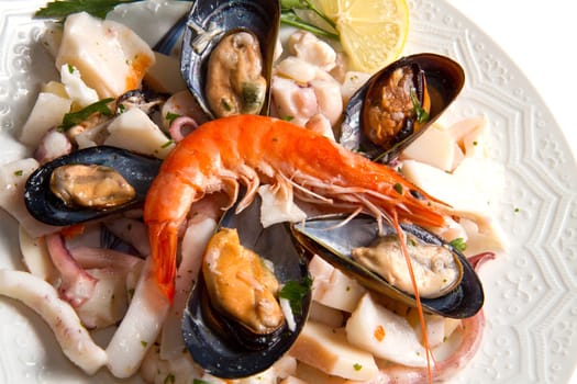 seafood salad on white background