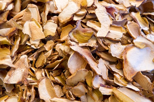mushroom dried background